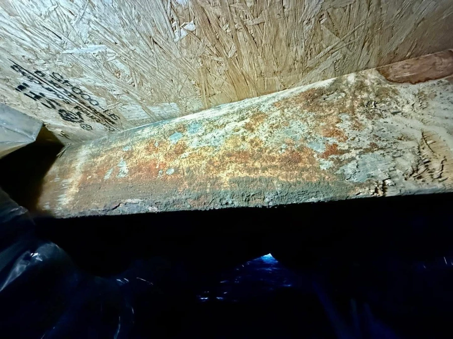 Crawl space before professional mold remediation