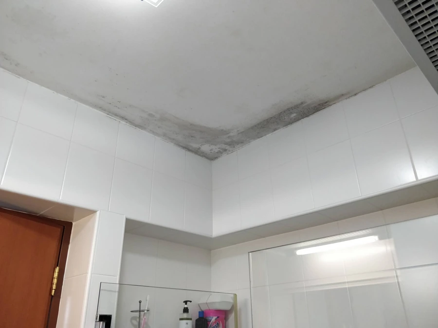 Kitchen ceiling showing mold before remediation