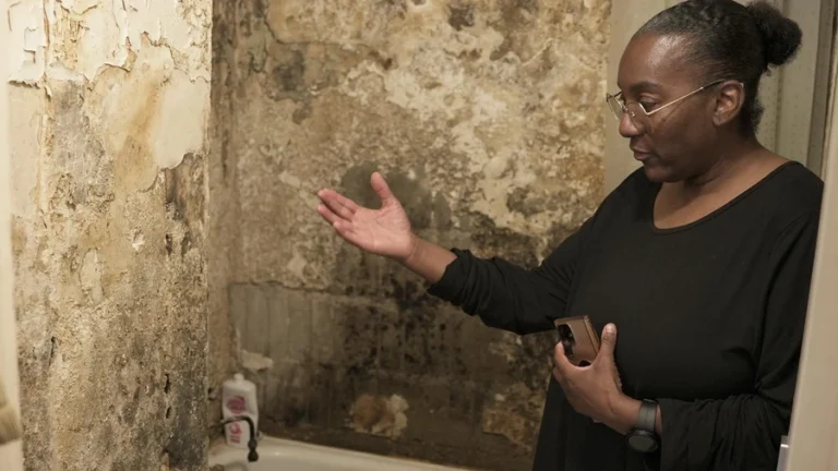Is a Tenant Responsible for Mold in a NYC Apartment?