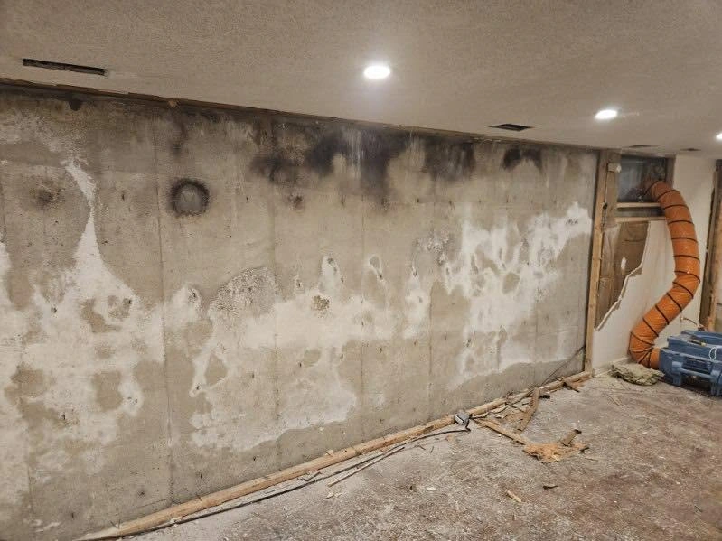 Manhattan apartment wall before professional mold remediation