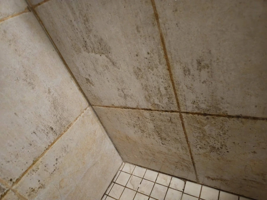 Basement apartment corner being assessed before mold testing