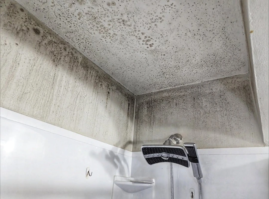 Bathroom wall showing mold before remediation