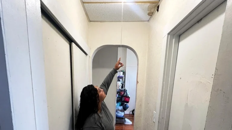 Tenant showing an unresolved mold problem to a landlord in a New York City apartment