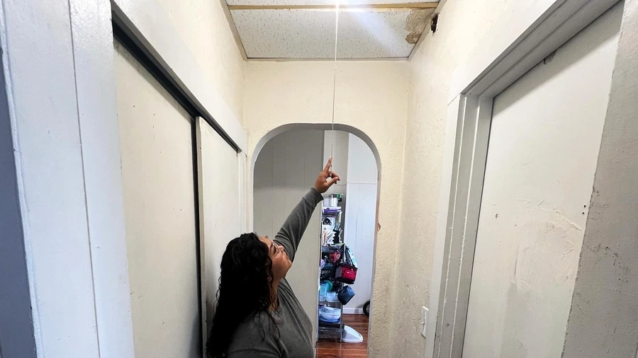 Tenant showing an unresolved mold problem to a landlord in a New York City apartment