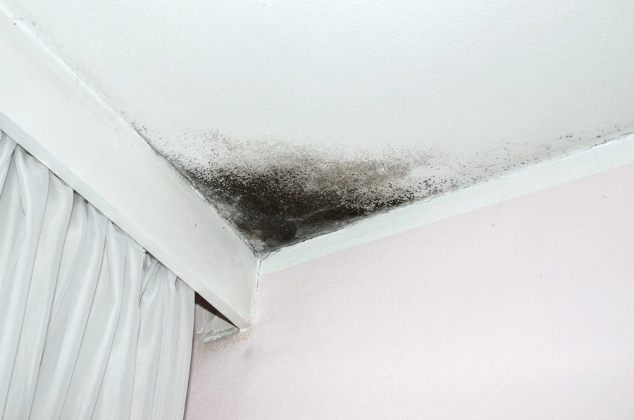 Queens home ceiling before professional mold remediation