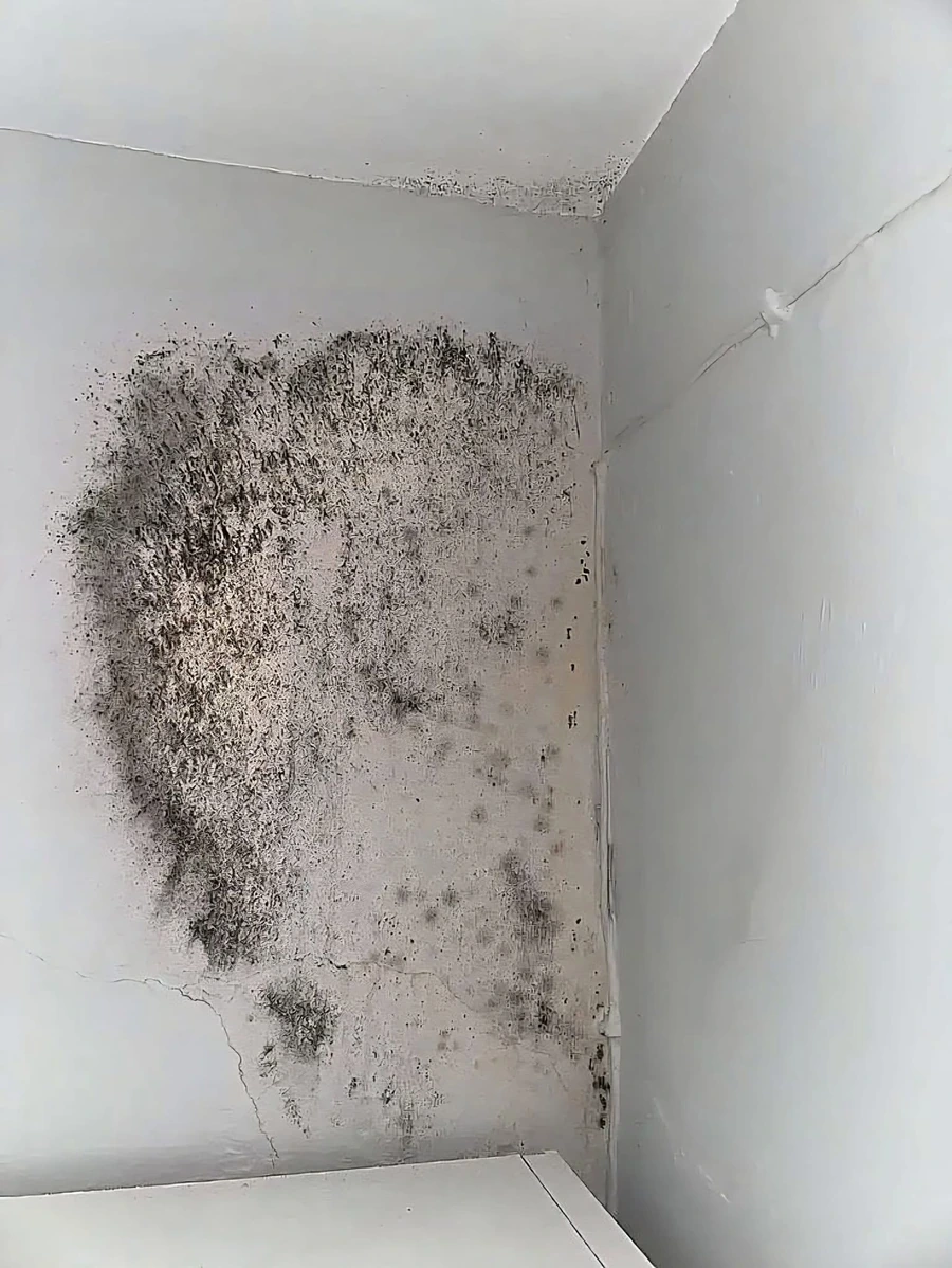 Suspected mold growth on a bedroom wall before mold testing samples were collected