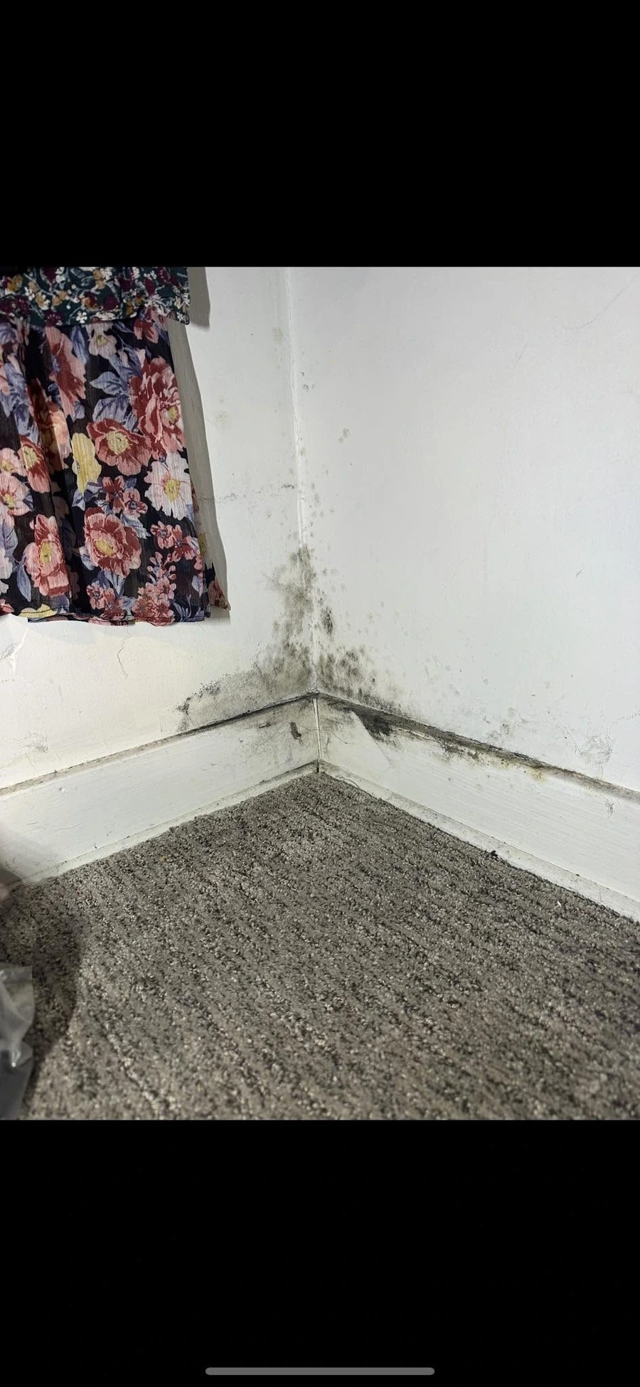 Wall with visible black mold before removal
